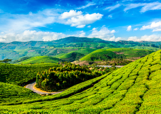 traveldilse-Superb Kerala